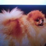 dermagic profile picture