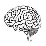 descodificadora_biologica profile picture