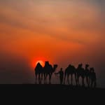 desert_overnight_camp_resort profile picture