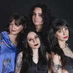 desertsharks profile picture