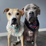 desmondandluna profile picture
