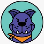 desobedientes.mx profile picture