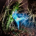 desprez_bertrand profile picture