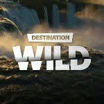 destination_wild profile picture