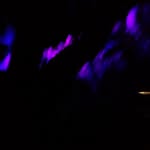 desudoryternura_ profile picture