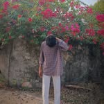 dev_____2006ll profile picture