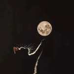 devansh_mange2025 profile picture