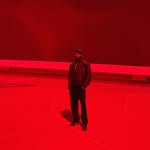 devonlmitchell profile picture