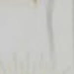 devsen4232 profile picture