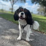 dex_andthecity profile picture