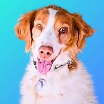 dexterdogouray profile picture