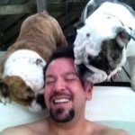 dgodoy76 profile picture