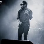 dhaddy profile picture