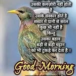 dharmendravns77952025 profile picture