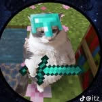 dhima_error profile picture
