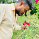 dhimo563 profile picture