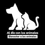 diaanimales profile picture