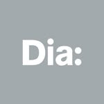 diaartfoundation profile picture