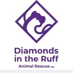 diamondsintheruffny profile picture
