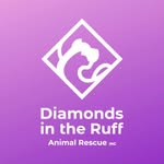diamondsintheruffnycats profile picture