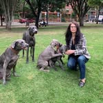 dianasalgadomarketer profile picture
