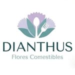 dianthus_flores_comestibles profile picture