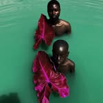 diaspora.art profile picture
