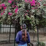 dibyashree_p14 profile picture