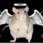 die69ing profile picture