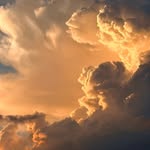 diegorojas_f profile picture