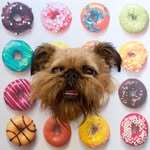 digbyvanwinkle profile picture