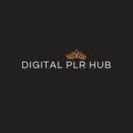 digitalplrhub profile picture