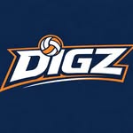 digzsa profile picture
