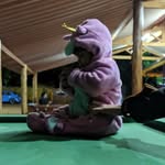 diin_ho profile picture