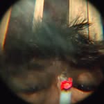 dikarmdnee_ profile picture