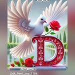 dilbar_bhai_313 profile picture