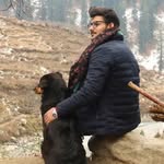 dillishares profile picture