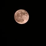 dilshad_4351 profile picture