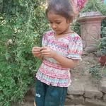 dinesh262910 profile picture