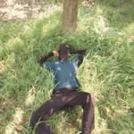 dinesh37___ profile picture