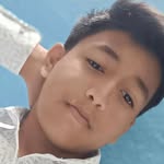 dinosaur.937900 profile picture
