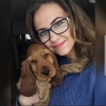 dio_englishcockerspaniel profile picture