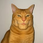 diogabtrilionaire profile picture