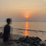 dipanshu__tare profile picture