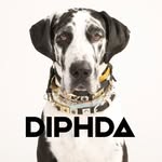 diphdapet profile picture