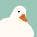 diploma.duck profile picture