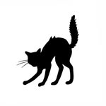 dirtyprettyproductions profile picture