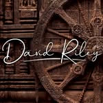 discoverindia.davidriley profile picture