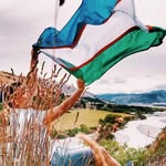 discoveruzbekistan.uz profile picture