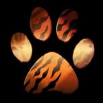 discoverwildpaws profile picture
